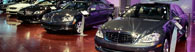 Mercedes Benz sectionSFI 0008 as03